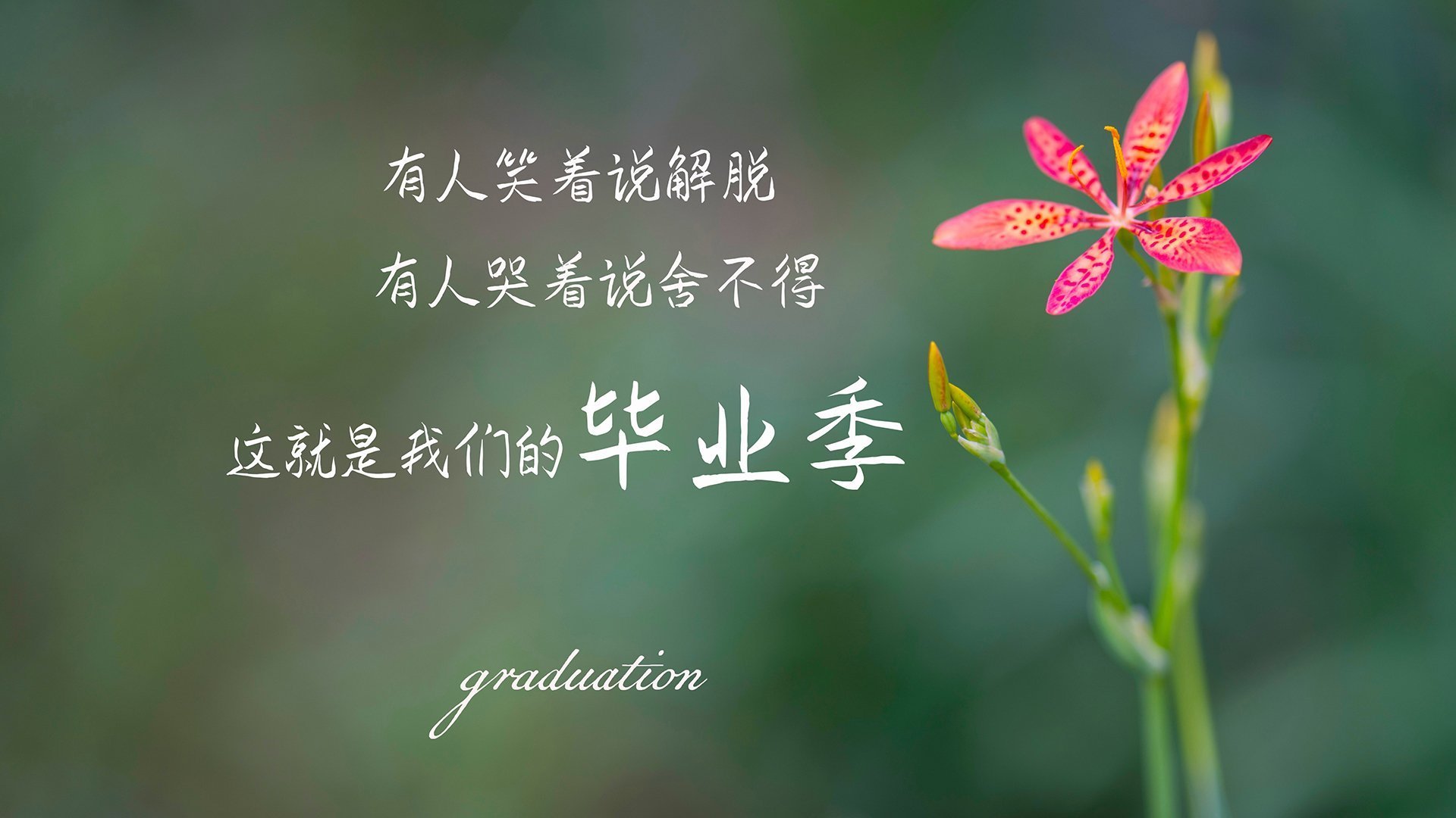 开云·体育官网APP下载-终场“绝杀”瞬间点燃欧冠激情，永载史册！，欧冠终极球场