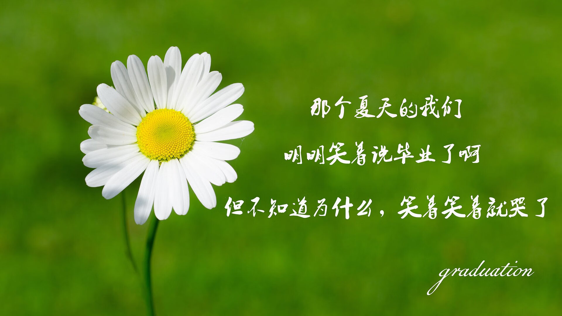 国际排联公布新赛季排球赛程，国际排联排球比赛规则