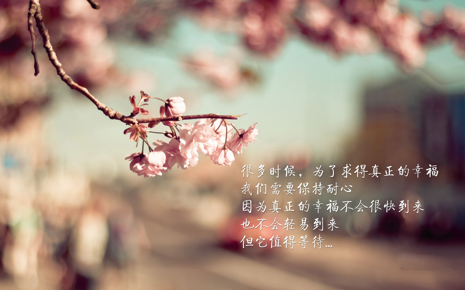中超球队场面压制能力指数波动报告,中超主客场制
