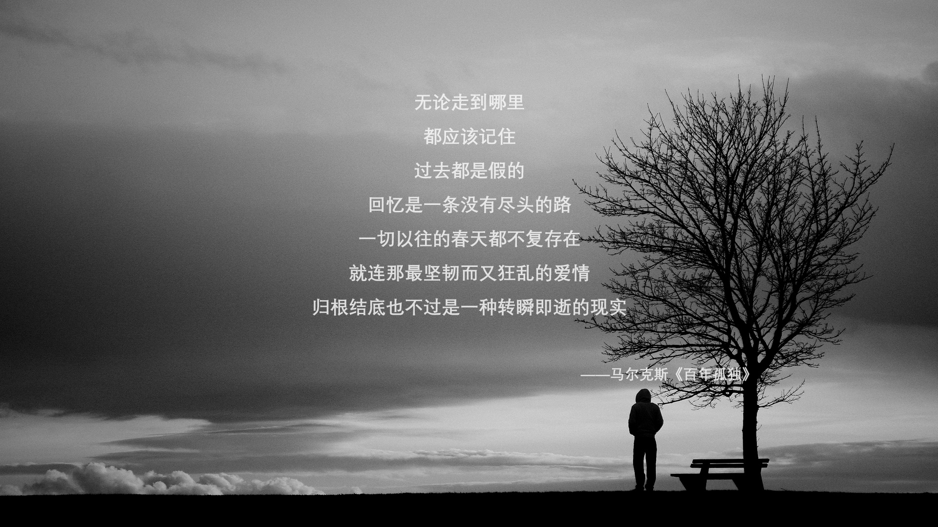体育志愿服务机制建设研究，体育志愿者服务活动内容