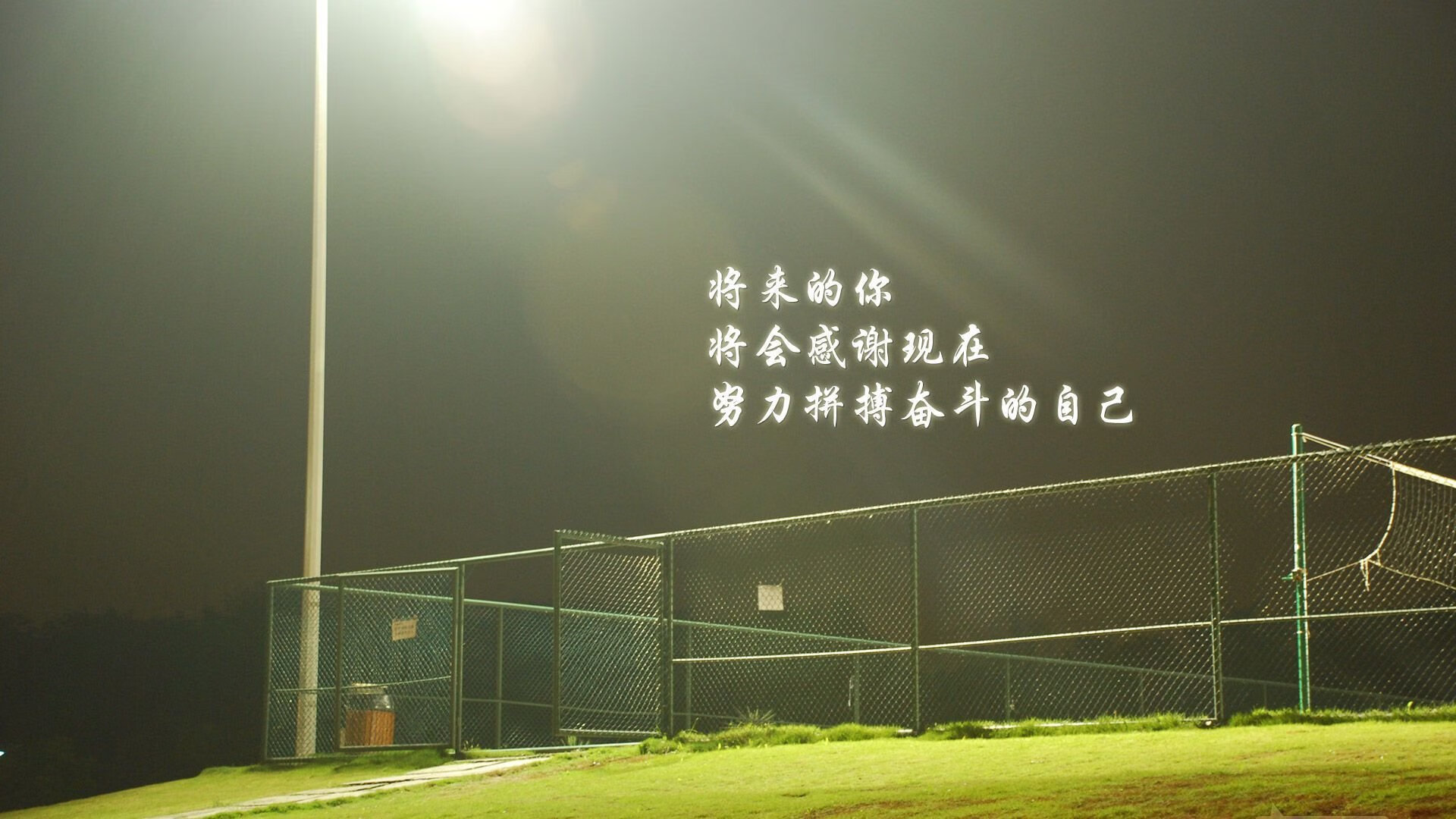 威尔士女子橄榄球势头强劲，跻身世界强队行列，橄榄球女子世界杯