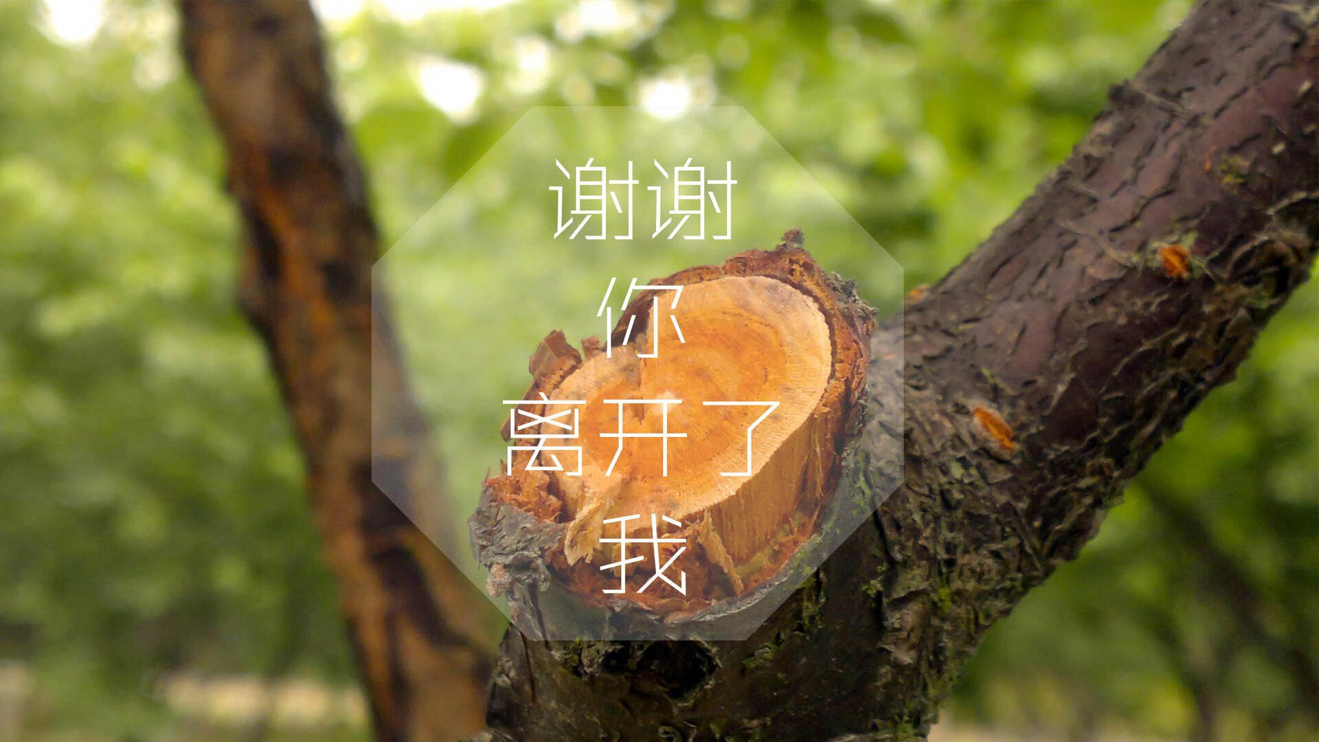 特斯·冯·迪克:帮助南非队在进攻端始终保持压力,为球队带来创造性机会