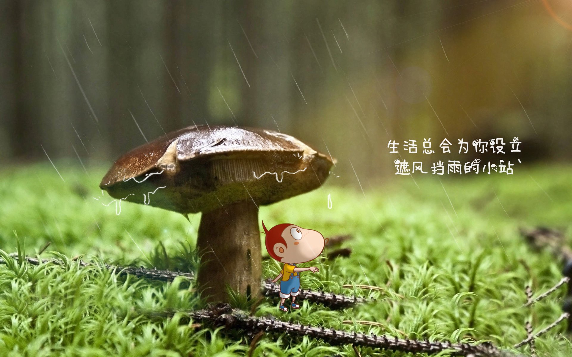 美洲杯激战持续:明星闪耀,精彩纷呈!,美洲 杯