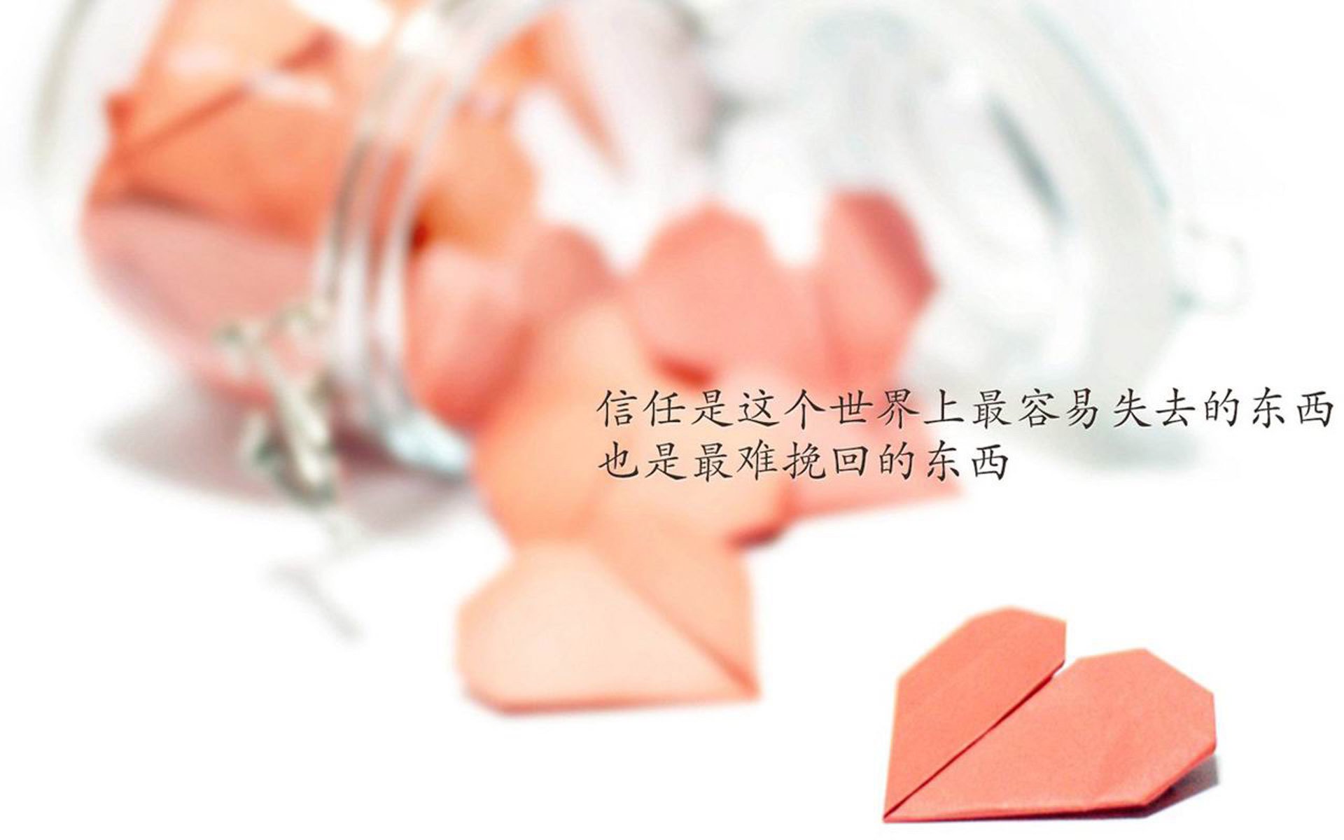 自由泳个人赛波兰新星崭露头角,波浪式自由泳